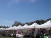 Filename=pride4.jpg
Filesize=34KiB
Dimensions=400x300
Date added=Feb 26, 2007 pride4.jpg